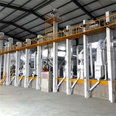 Rice Cleaning and Sorting Machine