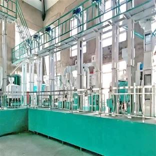 Маленьке обладнання для обробки прут NZJ: Революція обробки зерна